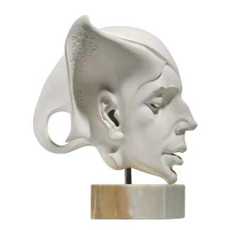 A Young Man’s Portrait